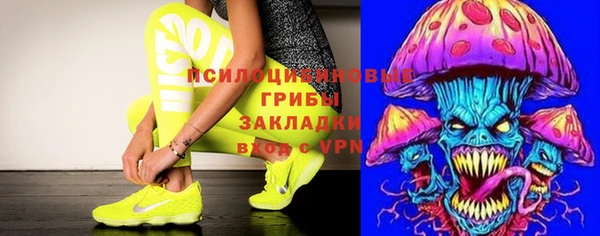 мяу мяу кристалл Алексин