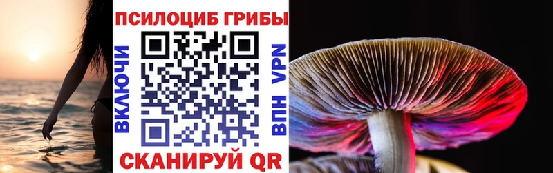 Галлюциногенные грибы Magic Shrooms  купить  сайты  Бавлы 